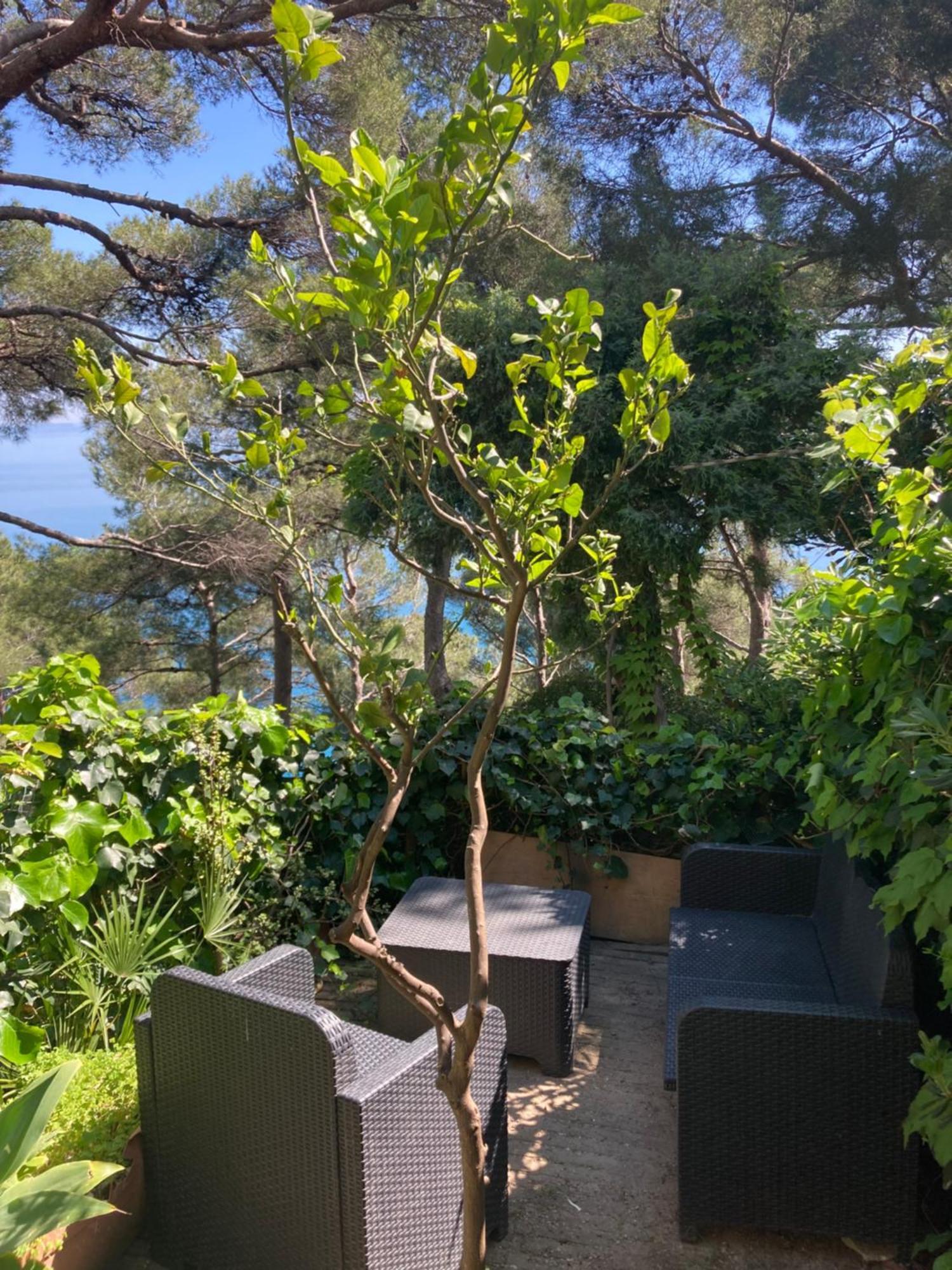 Guest House Berzefi Bergeggi Εξωτερικό φωτογραφία