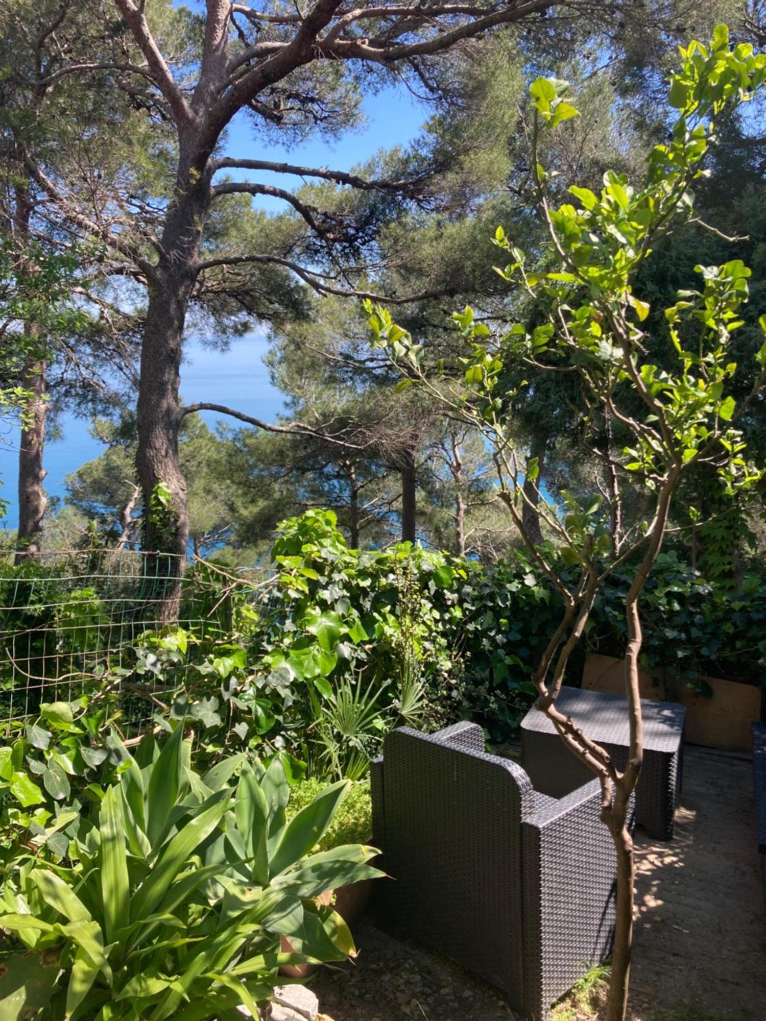 Guest House Berzefi Bergeggi Εξωτερικό φωτογραφία